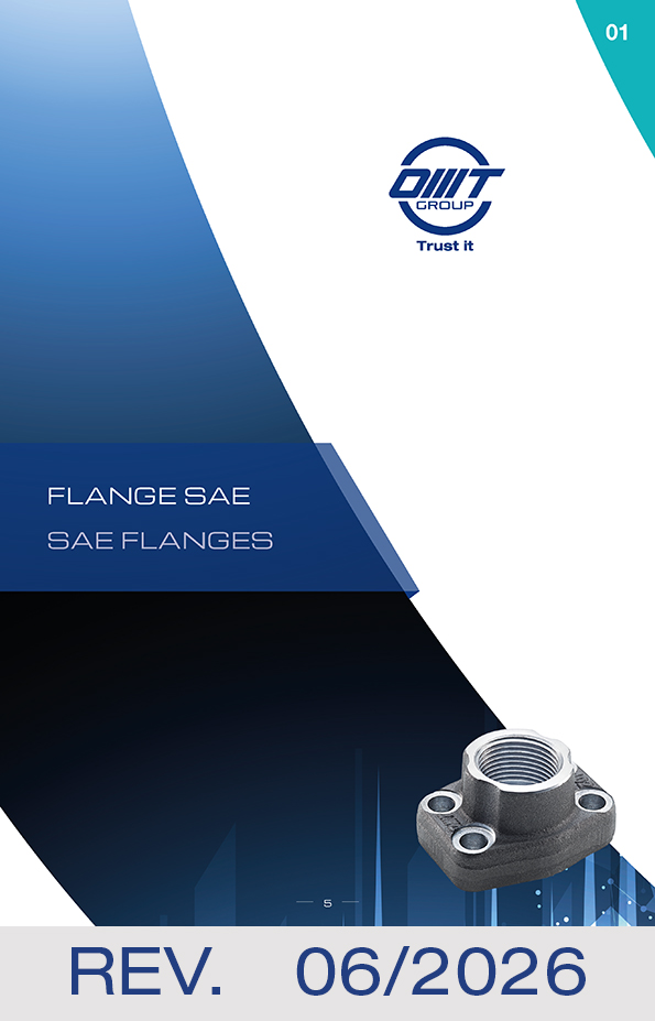 Catalogo flange
